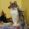 Отзыв от Наталия Горлова